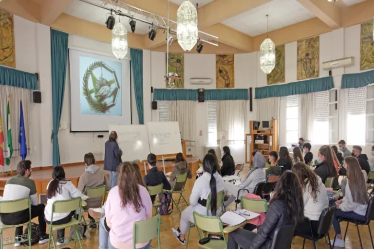Salón de Actos - Virgen de las Nieves 2