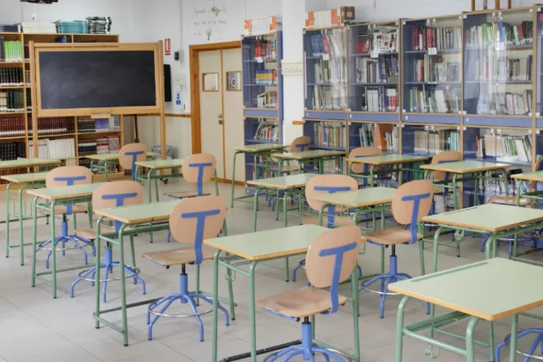 Biblioteca - Virgen de las Nieves 2