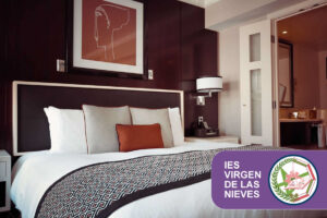 Técnico Superior en Gestión de Alojamientos Turísticos (Dual)