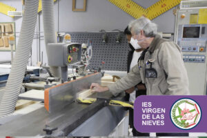 Técnico Superior en Diseño y Amueblamiento - IES Virgen de las Nieves