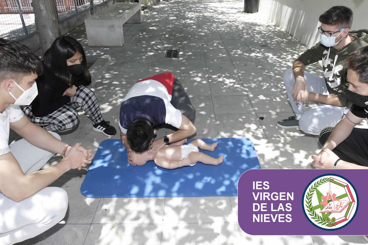 Técnico Superior en Educación Infantil - IES Virgen de las Nieves